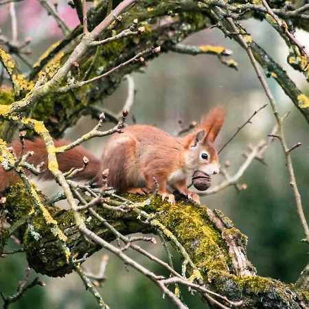 Andrea Διαμέρισμα *